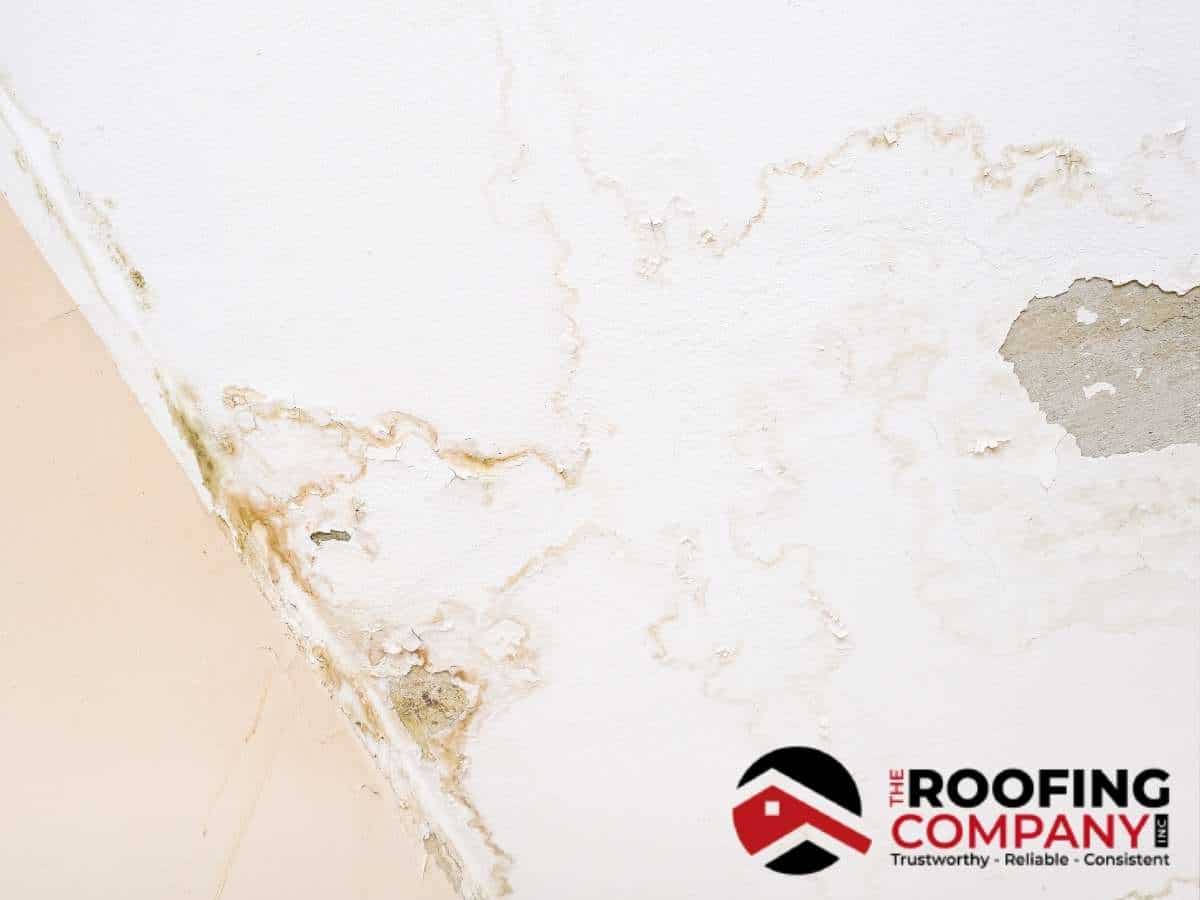 Roofing Contractors Share Roof Repair Tips For Potential Leaks In Mesa, AZ