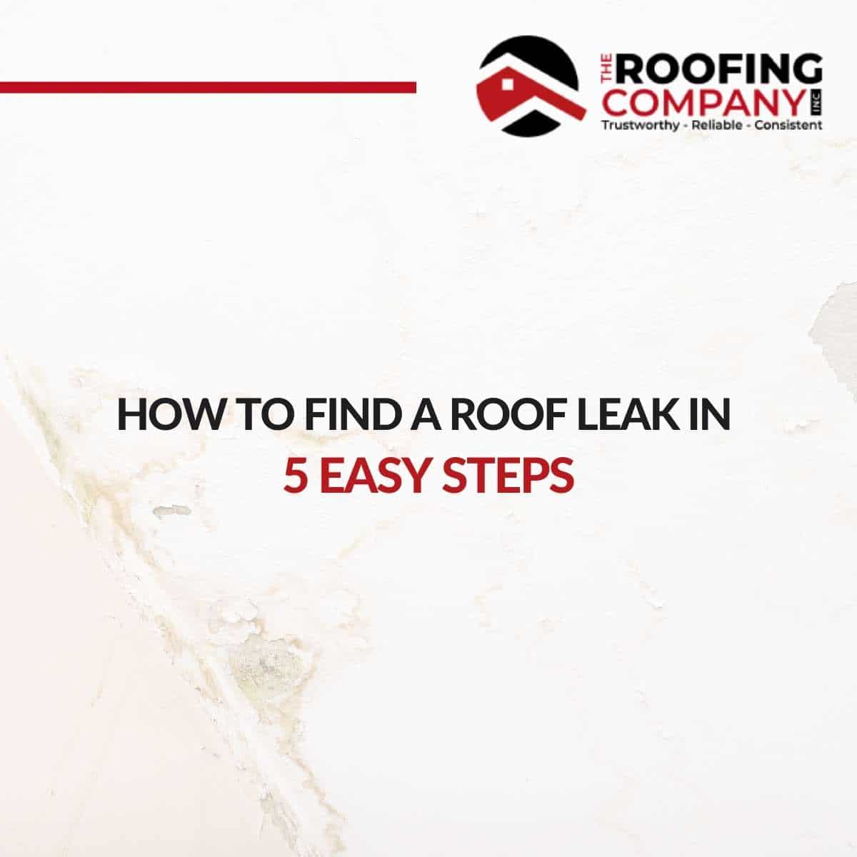 How To Find a Roof Leak In 5 Easy Steps
