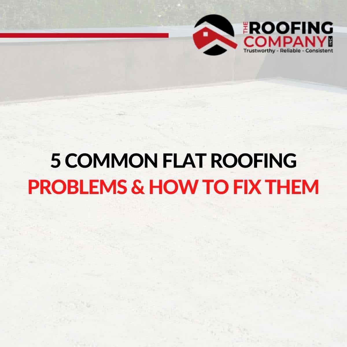 5 Common Flat Roofing Problems & How To Fix Them