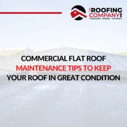 Commercial Flat Roof Maintenance Tips To Keep Your Roof In Great Condition
