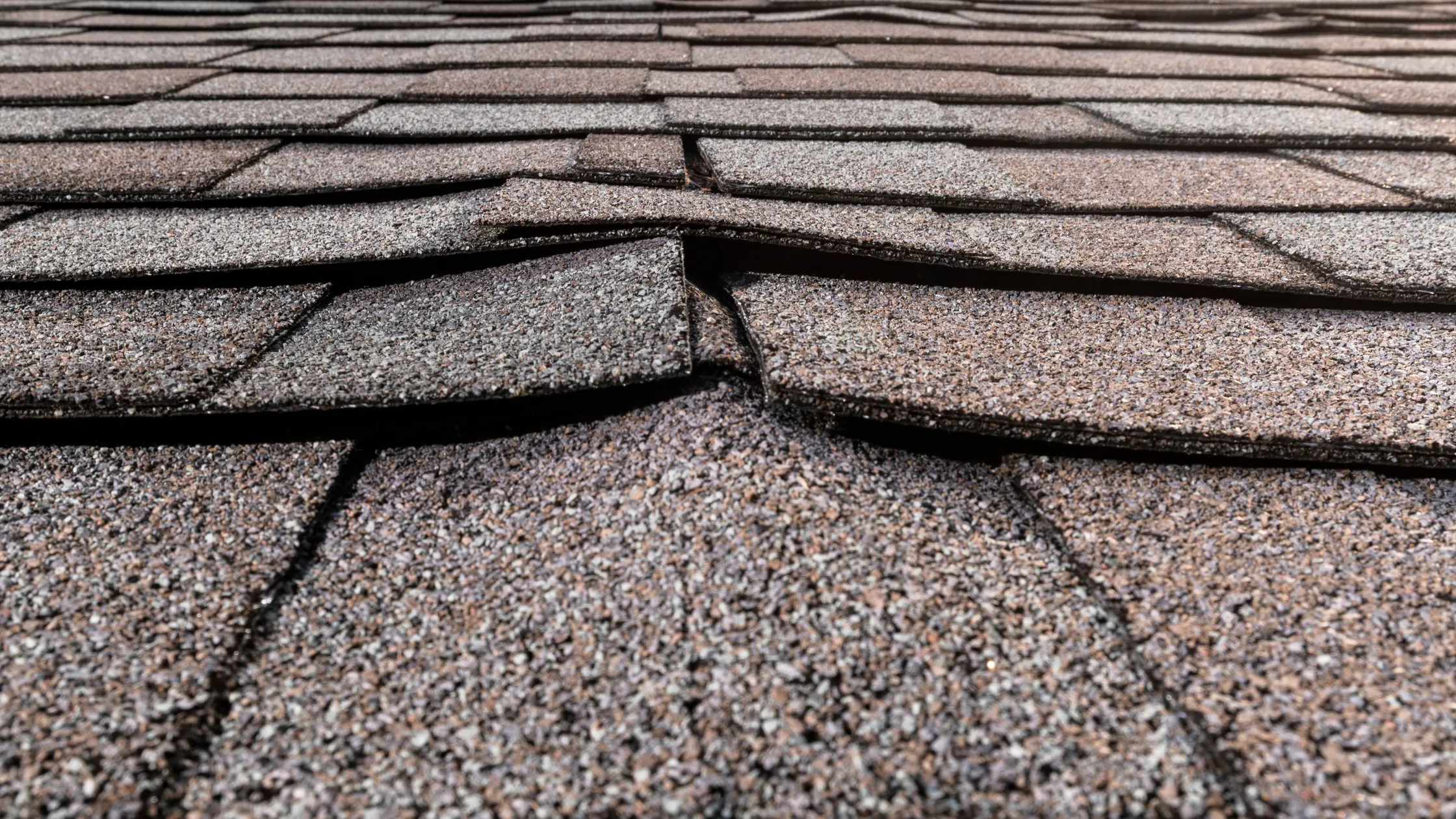 Picture of bad roof shingles